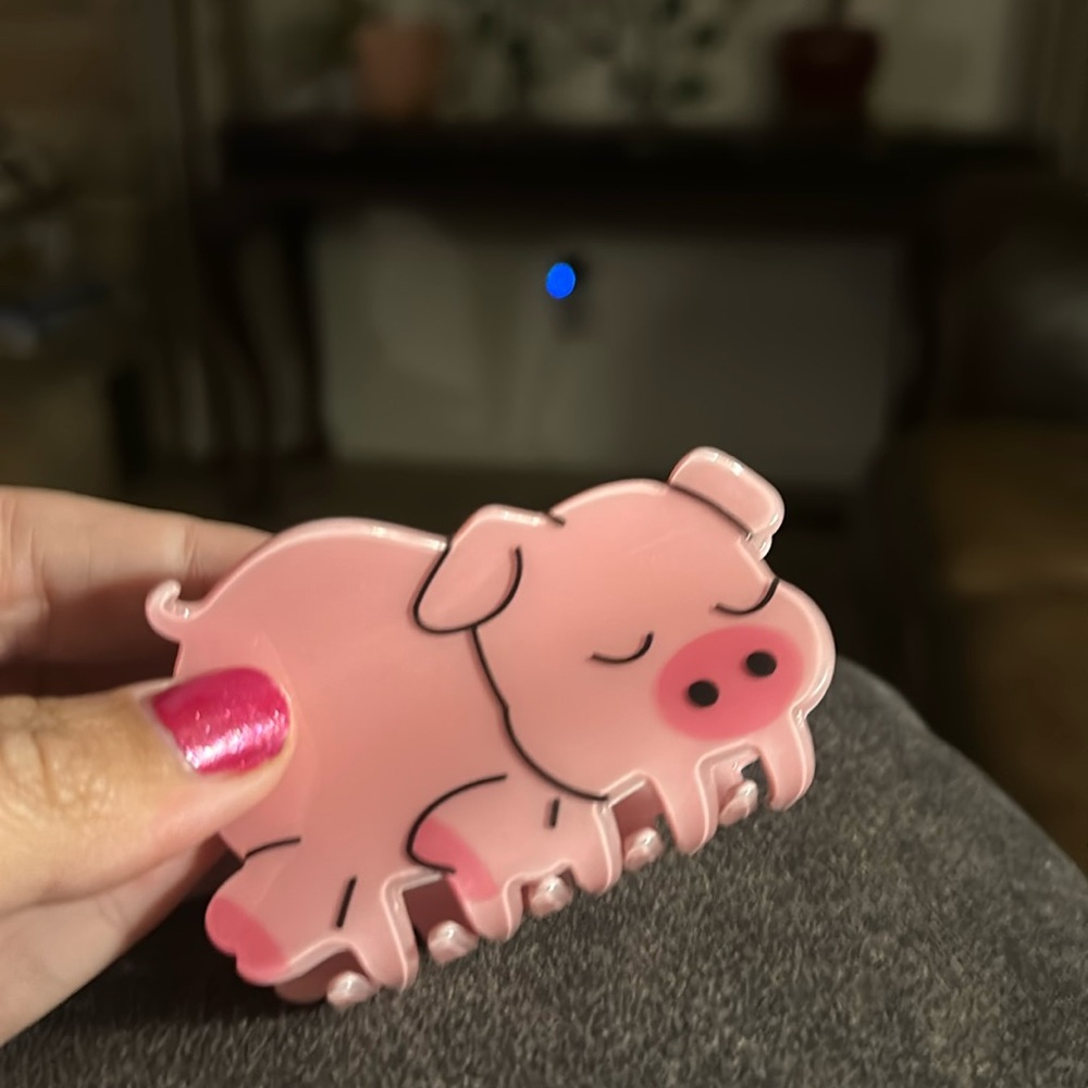 Pig Hair Claw